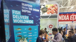 Мурманские рыбопромышленники представлены на выставке China Fisheries & SeaFood Expo 2019